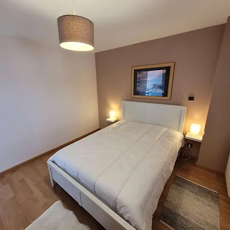 T2 Avec Balcon Sud - Et Centre-ville Proches - Fr-1-674-47